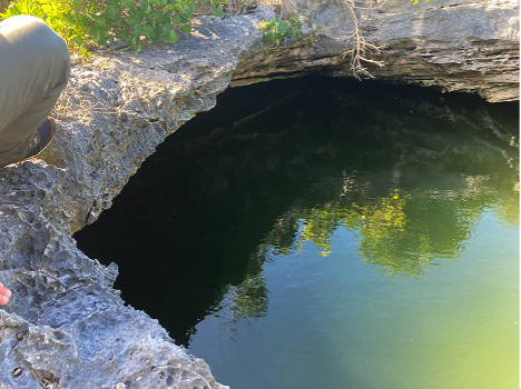 Joe Grants Cay Eric S Cole