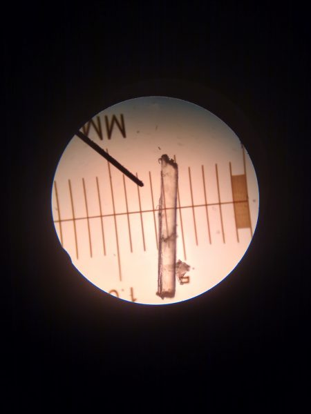 small piece of clear plastic viewed under microscope