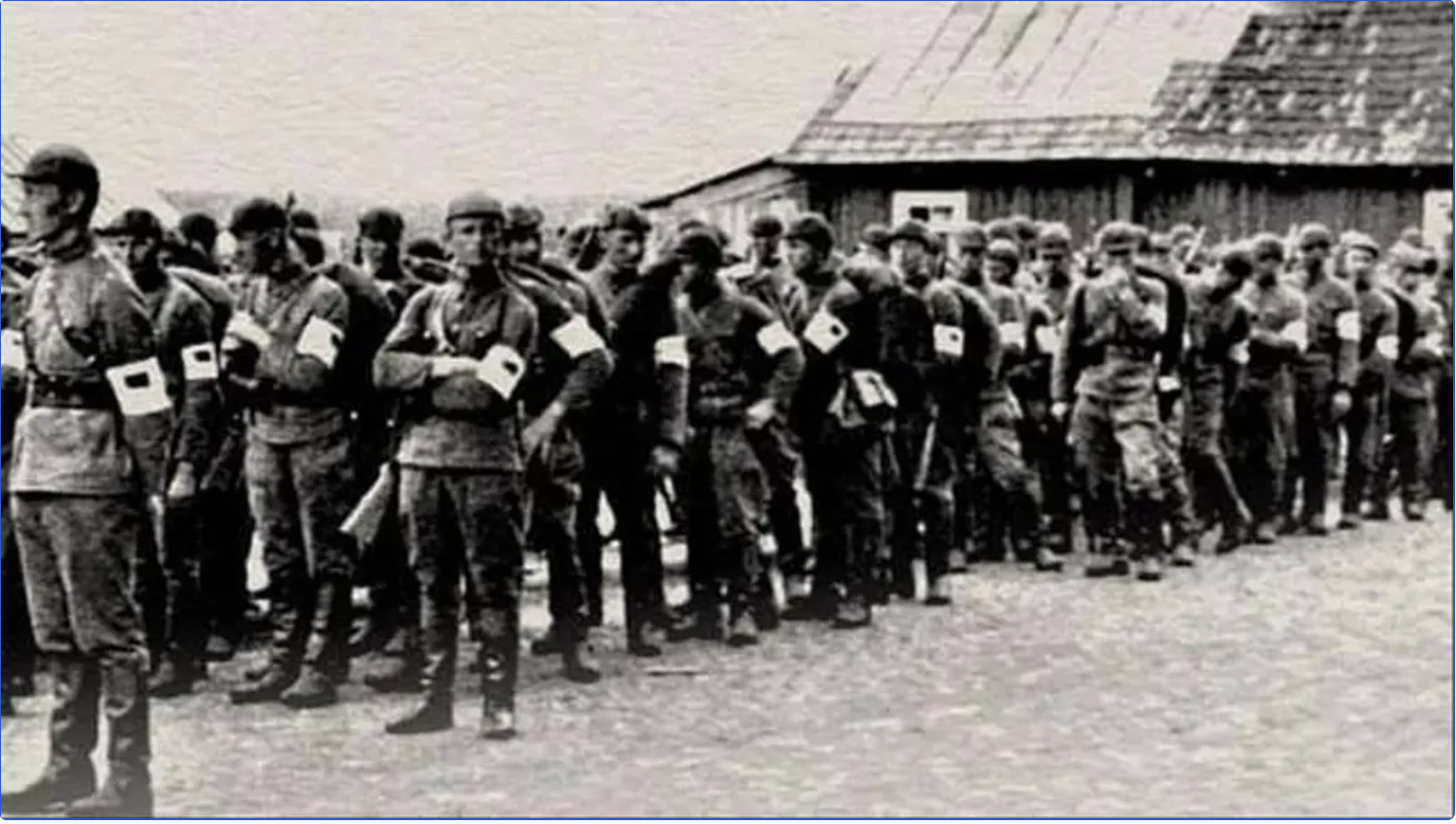 "Lined up Lithuanian rebels (Lithuanian Activist Front) during the June Uprising in Lithuania, 1941."