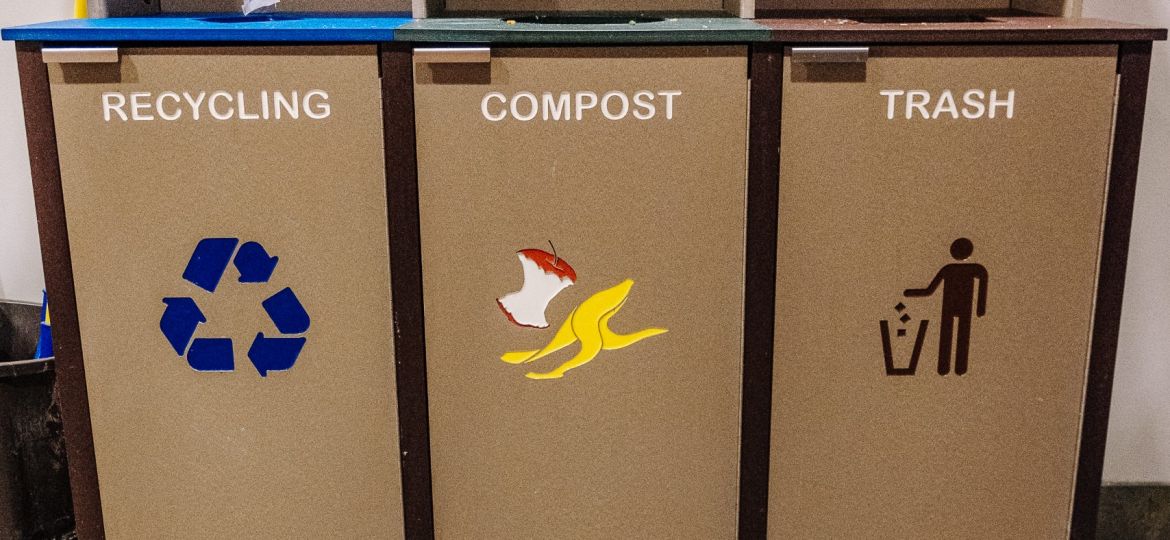 Compost (Steven Garcia-Mess)