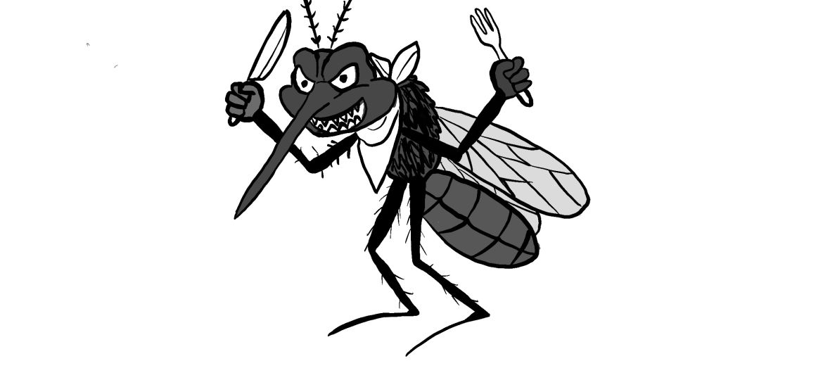 angry_mosquito