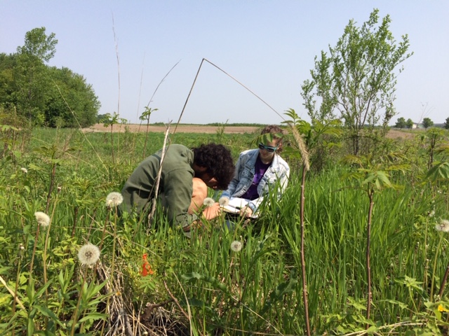 Two students collecting data in the field.