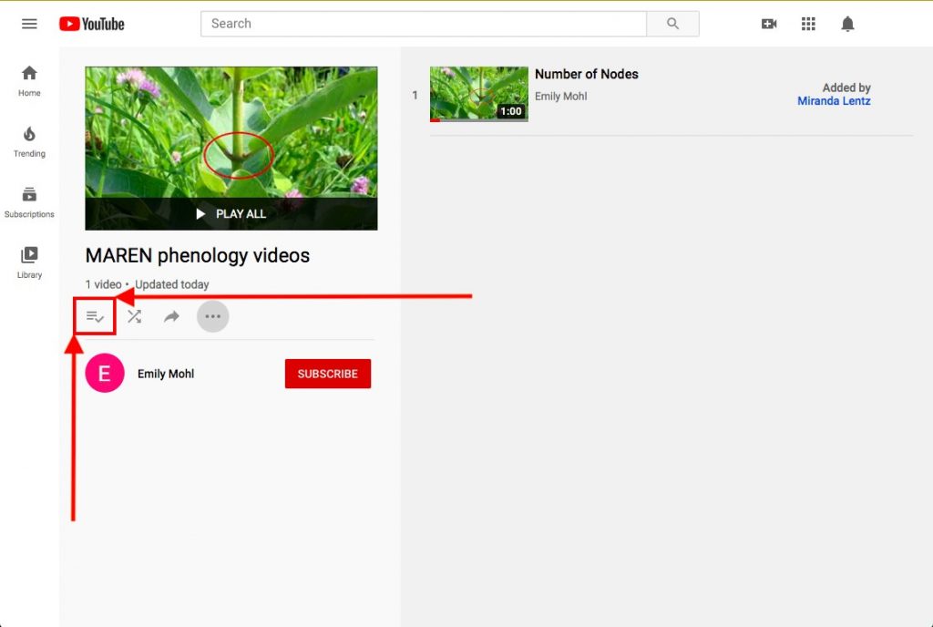 Step 3 to upload YouTube content: tag instructions