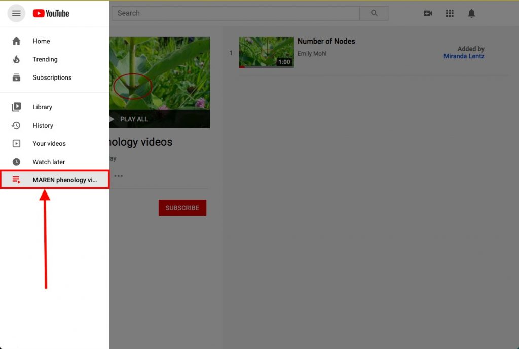 Step 3 to upload YouTube content: tag instructions