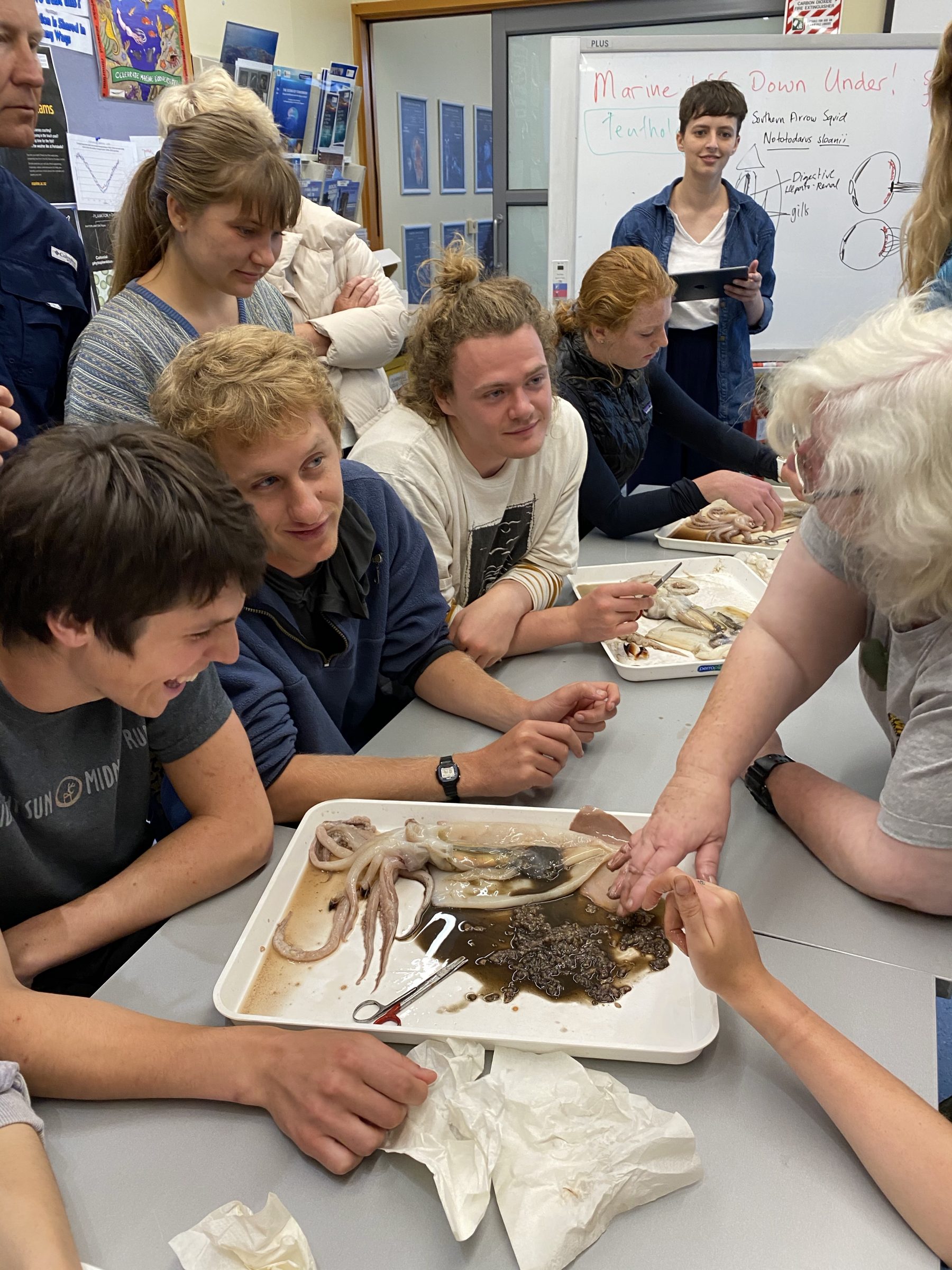 Students engaged in a squid dissection session