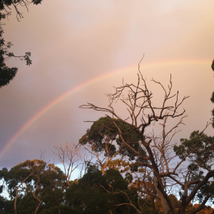 A rainbow seen from our accommodation in Bimbi Park in Australia