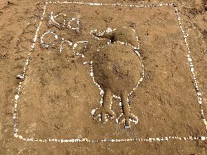 A kiwi bird "sculpture" made of rocks and sand