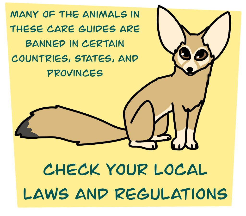laws Many of the animals in these care guides are banned in certain countries, states, and provinces. Check your local laws and regulations.