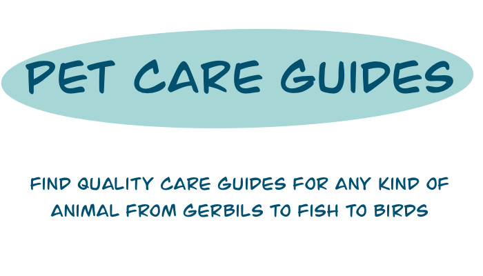 pet care