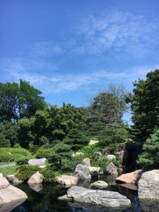 Como Park Conservatory - Zen Garden