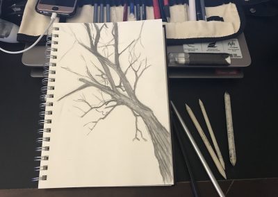 Tree Sketch In Progress