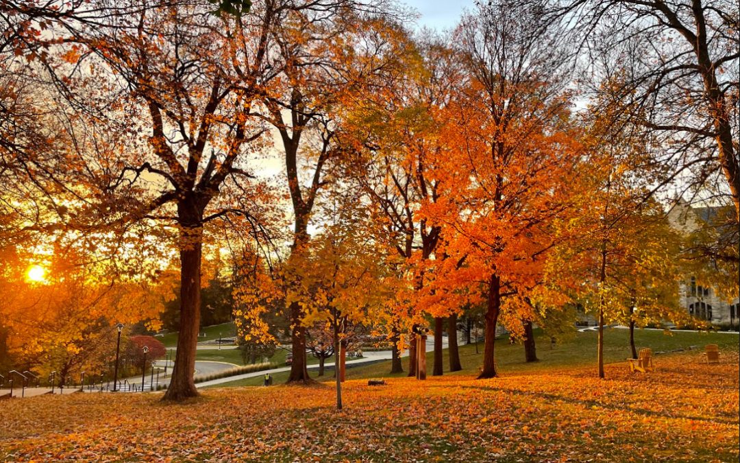 St. Olaf Campus – Fall Morning