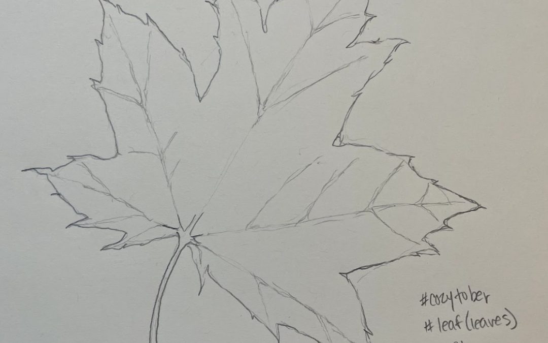 maple leaf sketch