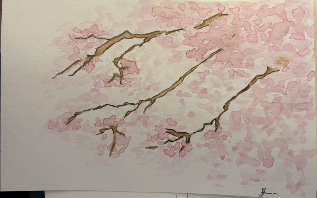 Cherry Blossoms – Watercolor