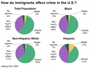 Crime and Immigration Stats